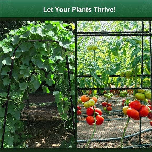 Garden Arch Trellis for Climbing Plants 0utdoor,63 X 55 in A-Frame Tall Cucumber - Picture 6 of 14